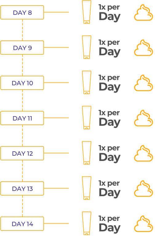 Week 2 Calendar = 1x per Day