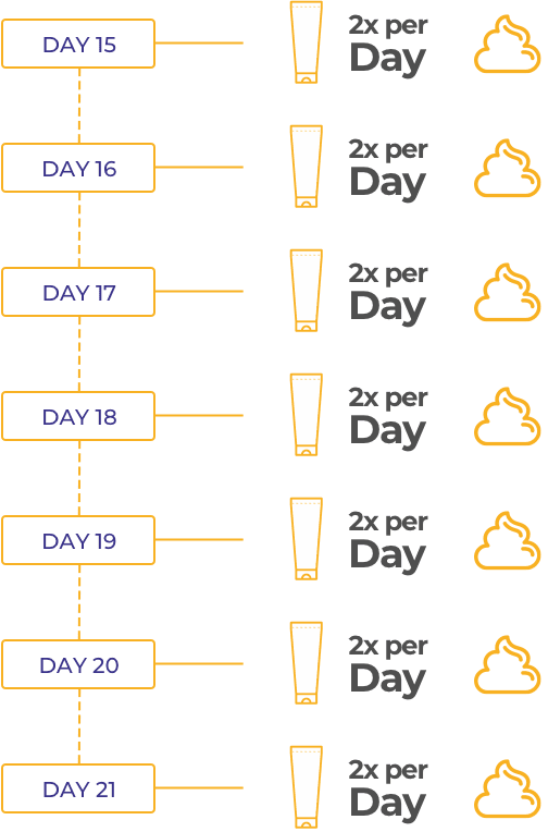 Week 3 Calendar = 2x per Day