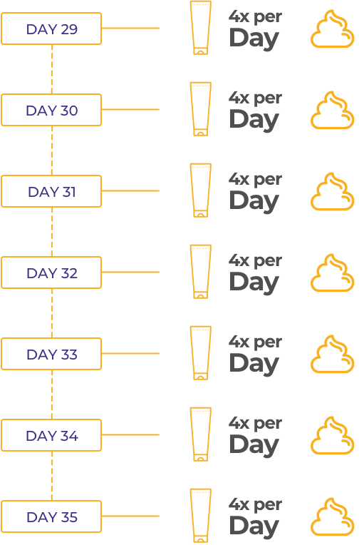 Week 5 Calendar = 4x per Day