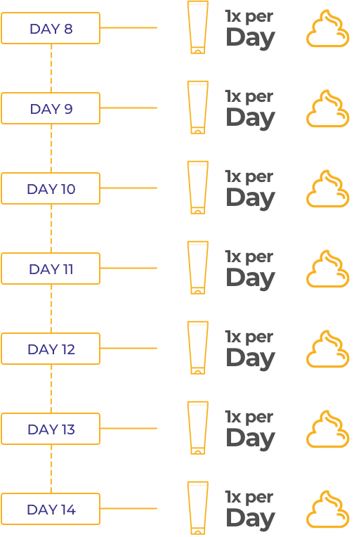 Week 2 Calendar = 1x per Day